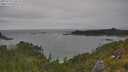 ./images/calvert/foggy-cove/20250718/foggy-cove20250718_150508M.jpg