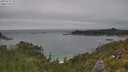 ./images/calvert/foggy-cove/20250718/foggy-cove20250718_151508M.jpg