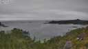 ./images/calvert/foggy-cove/20250718/foggy-cove20250718_161510M.jpg