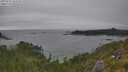 ./images/calvert/foggy-cove/20250718/foggy-cove20250718_163510M.jpg