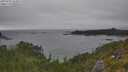 ./images/calvert/foggy-cove/20250718/foggy-cove20250718_164009M.jpg