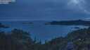 ./images/calvert/foggy-cove/20250719/foggy-cove20250719_050507M.jpg