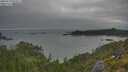 ./images/calvert/foggy-cove/20250719/foggy-cove20250719_055007M.jpg