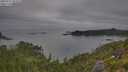 ./images/calvert/foggy-cove/20250719/foggy-cove20250719_082008M.jpg