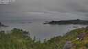 ./images/calvert/foggy-cove/20250719/foggy-cove20250719_084009M.jpg