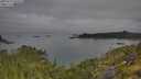 ./images/calvert/foggy-cove/20250719/foggy-cove20250719_091010M.jpg