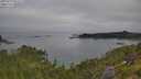 ./images/calvert/foggy-cove/20250719/foggy-cove20250719_091511M.jpg