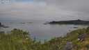 ./images/calvert/foggy-cove/20250719/foggy-cove20250719_092011M.jpg