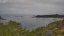 ./images/calvert/foggy-cove/20250719/foggy-cove20250719_094010M.jpg