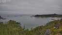 ./images/calvert/foggy-cove/20250719/foggy-cove20250719_095009M.jpg