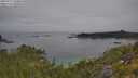 ./images/calvert/foggy-cove/20250719/foggy-cove20250719_100010M.jpg