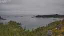 ./images/calvert/foggy-cove/20250719/foggy-cove20250719_100509M.jpg