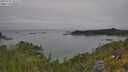 ./images/calvert/foggy-cove/20250719/foggy-cove20250719_101509M.jpg