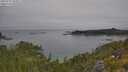 ./images/calvert/foggy-cove/20250719/foggy-cove20250719_102011M.jpg