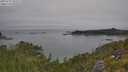 ./images/calvert/foggy-cove/20250719/foggy-cove20250719_102509M.jpg
