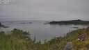./images/calvert/foggy-cove/20250719/foggy-cove20250719_103009M.jpg