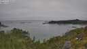 ./images/calvert/foggy-cove/20250719/foggy-cove20250719_103507M.jpg