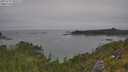 ./images/calvert/foggy-cove/20250719/foggy-cove20250719_105509M.jpg