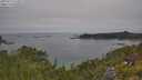 ./images/calvert/foggy-cove/20250719/foggy-cove20250719_111009M.jpg