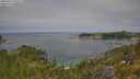 ./images/calvert/foggy-cove/20250719/foggy-cove20250719_115509M.jpg