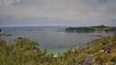 ./images/calvert/foggy-cove/20250719/foggy-cove20250719_120012M.jpg
