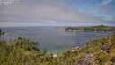 ./images/calvert/foggy-cove/20250719/foggy-cove20250719_122010M.jpg