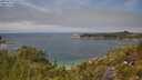 ./images/calvert/foggy-cove/20250719/foggy-cove20250719_130510M.jpg