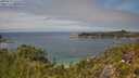 ./images/calvert/foggy-cove/20250719/foggy-cove20250719_131510M.jpg