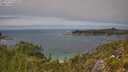 ./images/calvert/foggy-cove/20250719/foggy-cove20250719_133509M.jpg