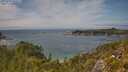 ./images/calvert/foggy-cove/20250719/foggy-cove20250719_135509M.jpg