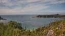./images/calvert/foggy-cove/20250719/foggy-cove20250719_145009M.jpg