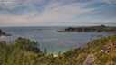./images/calvert/foggy-cove/20250719/foggy-cove20250719_145510M.jpg