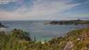 ./images/calvert/foggy-cove/20250719/foggy-cove20250719_150009M.jpg