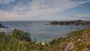 ./images/calvert/foggy-cove/20250719/foggy-cove20250719_150507M.jpg