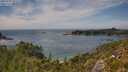 ./images/calvert/foggy-cove/20250719/foggy-cove20250719_151010M.jpg