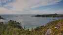 ./images/calvert/foggy-cove/20250719/foggy-cove20250719_153011M.jpg