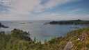 ./images/calvert/foggy-cove/20250719/foggy-cove20250719_154510M.jpg