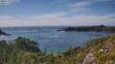 ./images/calvert/foggy-cove/20250719/foggy-cove20250719_164008M.jpg