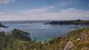 ./images/calvert/foggy-cove/20250719/foggy-cove20250719_165006M.jpg