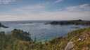./images/calvert/foggy-cove/20250719/foggy-cove20250719_170010M.jpg