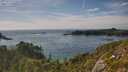 ./images/calvert/foggy-cove/20250719/foggy-cove20250719_171008M.jpg