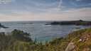 ./images/calvert/foggy-cove/20250719/foggy-cove20250719_172509M.jpg