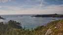 ./images/calvert/foggy-cove/20250719/foggy-cove20250719_173011M.jpg
