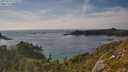 ./images/calvert/foggy-cove/20250719/foggy-cove20250719_173509M.jpg