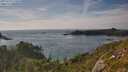 ./images/calvert/foggy-cove/20250719/foggy-cove20250719_174010M.jpg