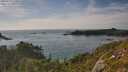 ./images/calvert/foggy-cove/20250719/foggy-cove20250719_175010M.jpg