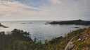 ./images/calvert/foggy-cove/20250719/foggy-cove20250719_184509M.jpg