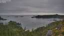 ./images/calvert/foggy-cove/20250720/foggy-cove20250720_054008M.jpg