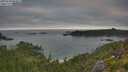 ./images/calvert/foggy-cove/20250720/foggy-cove20250720_062011M.jpg