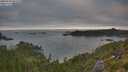 ./images/calvert/foggy-cove/20250720/foggy-cove20250720_062510M.jpg